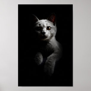 Katze/Kitten/Kitty Portrait Poster