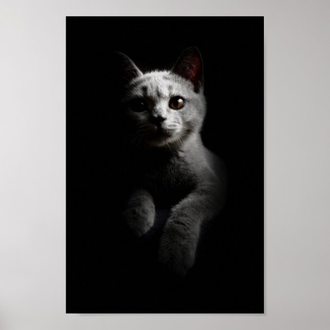 Katze/Kitten/Kitty Portrait Poster (Vorne)