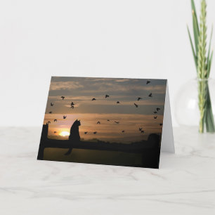 Katze/Kitty Sympathy Card Karte