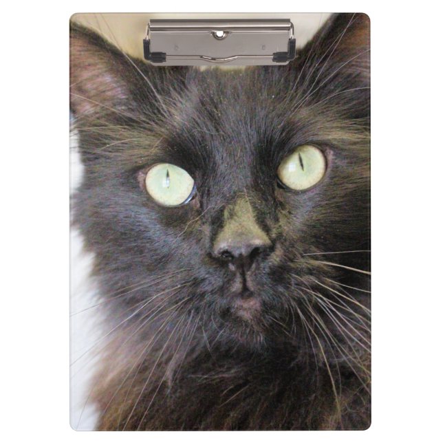 Katze Klemmbrett (Vorderseite)