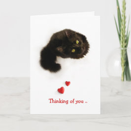 Katze Liebe Ich denke an Dich Karte
