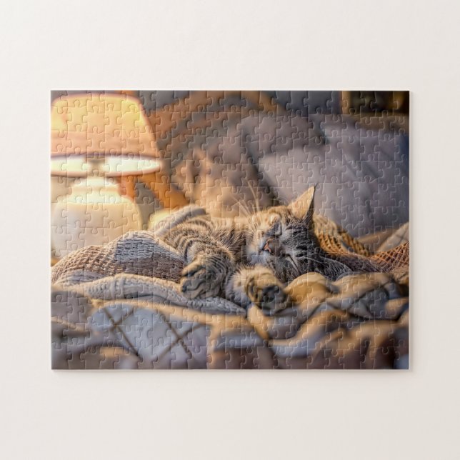 Katze liegt auf Sofa mit Decke und Lampe (Horizontal)
