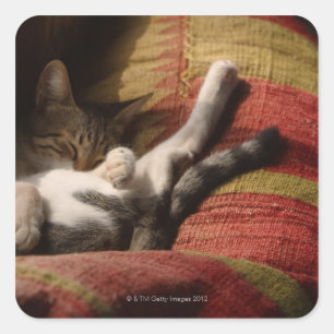 Katze Lounging Quadratischer Aufkleber