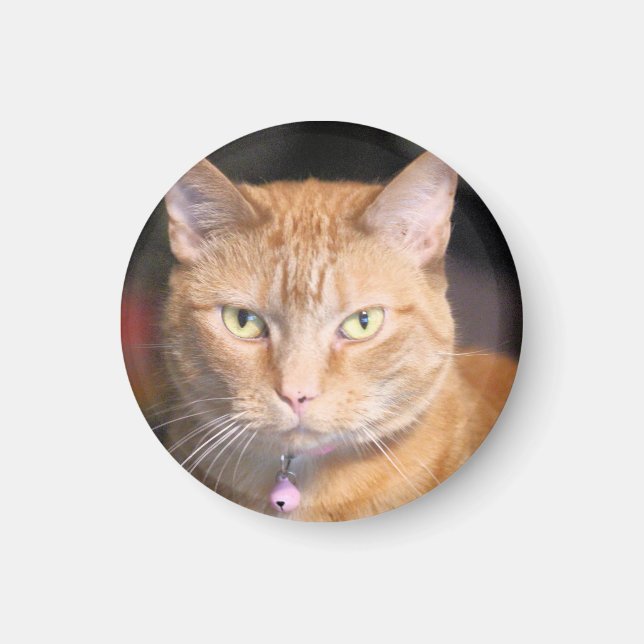 Katze Magnet (Vorne)