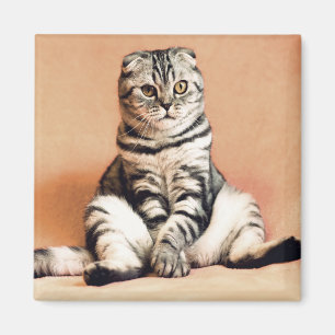 Katze Magnet