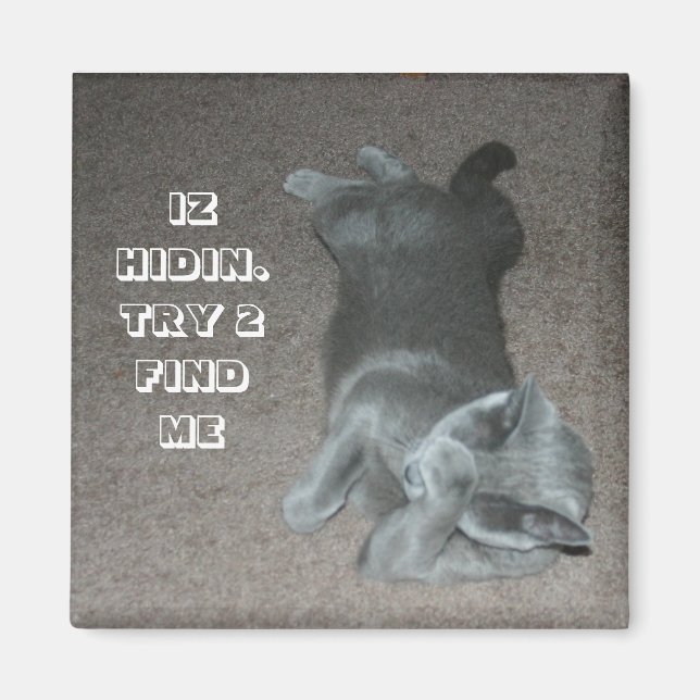 Katze Magnet (Vorne)