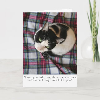 Katze Meme Gruß-Karte Karte