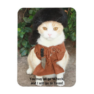 Katze/Miezekatze im Wildleder mit Davy Crockett Magnet