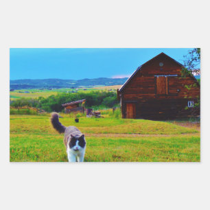 Katze mit Barns Rechteckiger Aufkleber