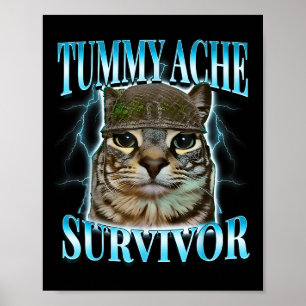 Katze mit Bauchschmerzen überlebende Meme Lustige Poster