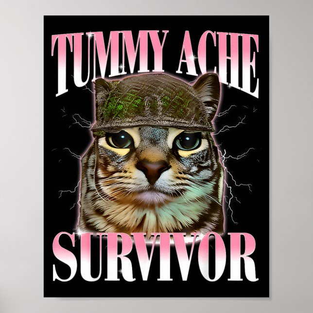 Katze mit Bauchschmerzen Überlebender Meme Lustige Poster (Vorne)