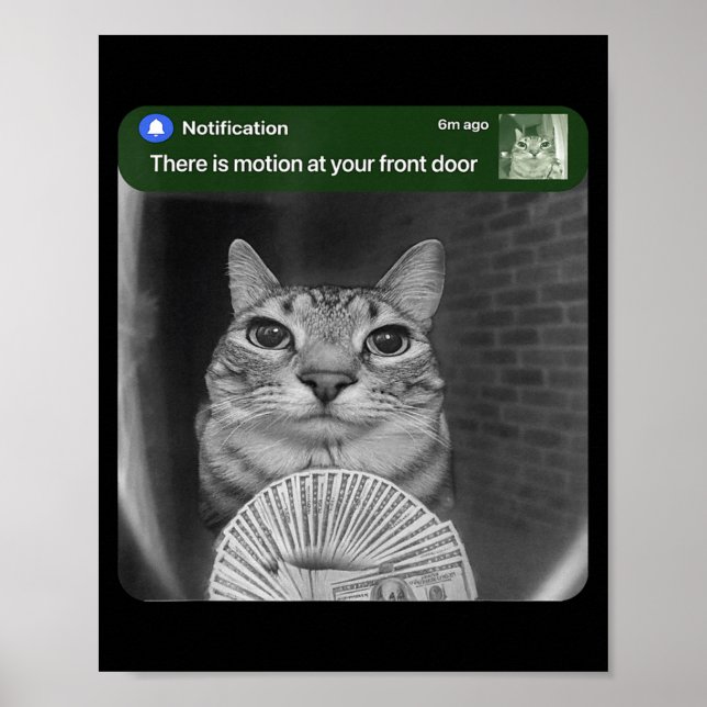 Katze mit Bewegungs-Meme beringen  Poster (Vorne)