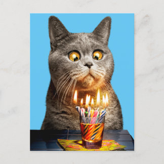 Katze mit Birthday-Shotglas Einladungspostkarte