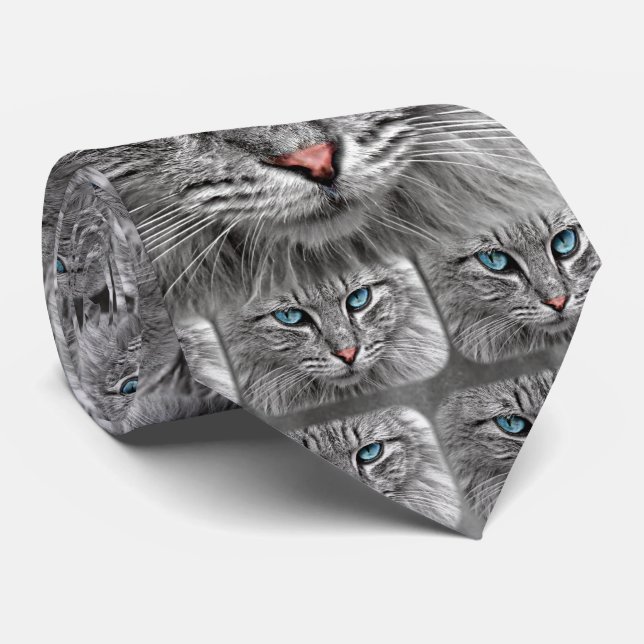 Katze mit blauen Augen rosa Nasen-und Grau-Pelz Krawatte (Gerollt)