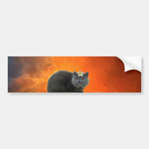 Katze mit Blume Autoaufkleber