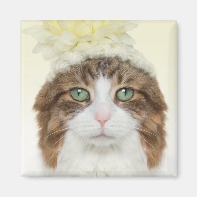 Katze mit Blume Hut Magnet (Vorne)