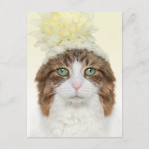 Katze mit Blume Hut Postkarte