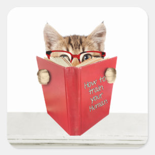 Katze mit Brille und Rotes Buch Quadratischer Aufkleber