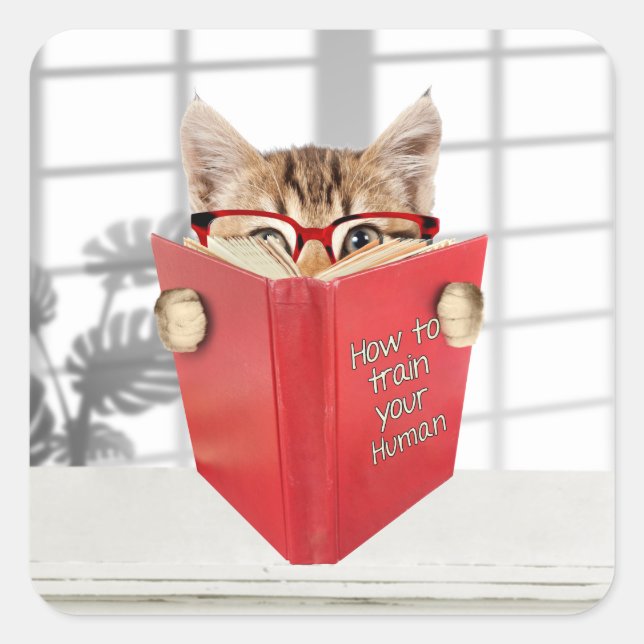 Katze mit Brille und Rotes Buch Quadratischer Aufkleber (Vorderseite)