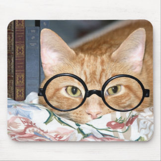 Katze mit Brillen und Büchern Mousepad