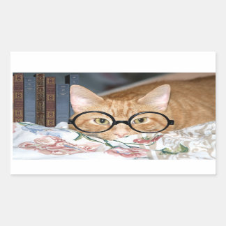 Katze mit Brillen und Büchern Rechteckiger Aufkleber