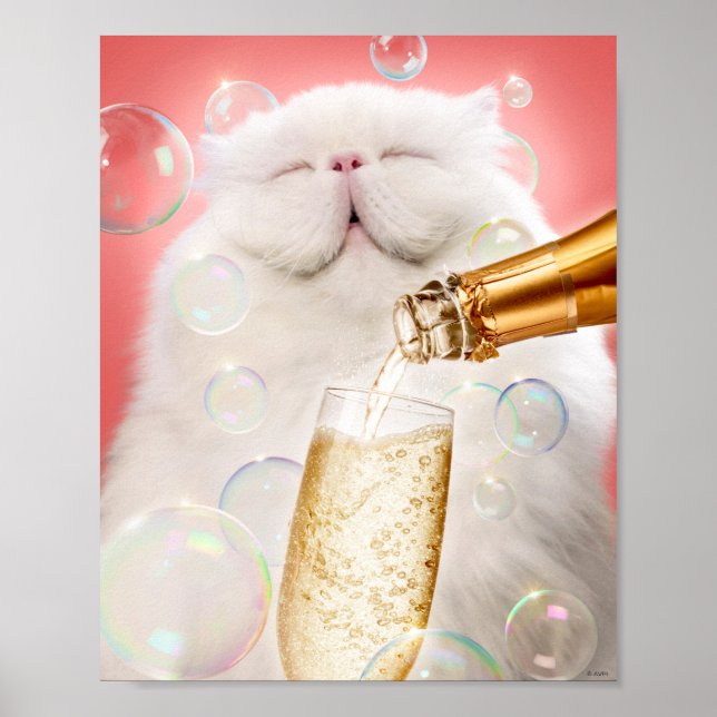 Katze mit Champagner Poster (Vorne)