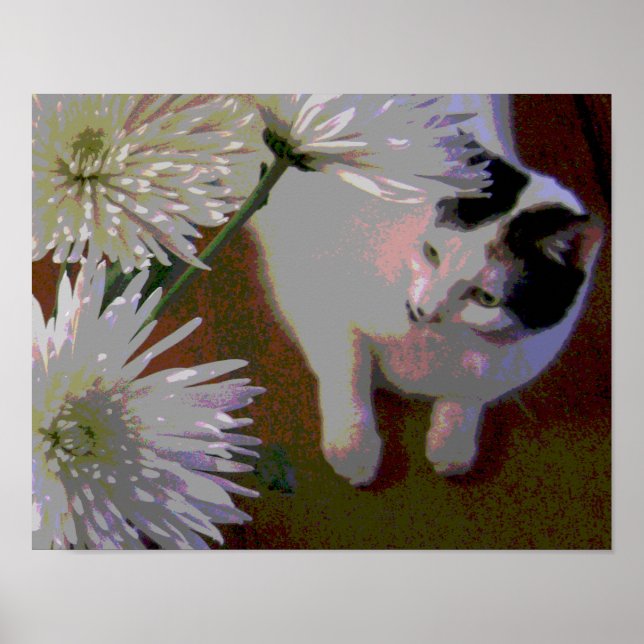 Katze mit Chrysanthemen Kunstdruck Poster (Vorne)