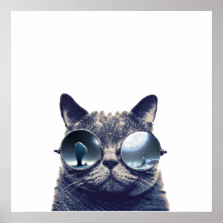 Katze mit cooler Sonnenbrille Poster