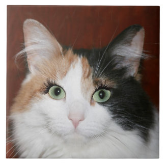 Katze mit den Wimpern Fliese