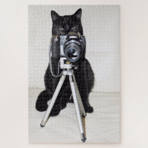 Katze mit der Kamera