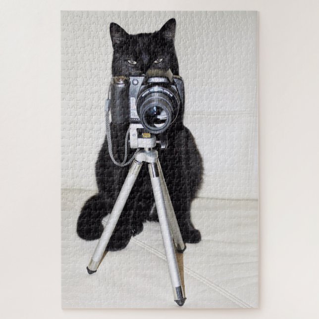 Katze mit der Kamera (Vertikal)