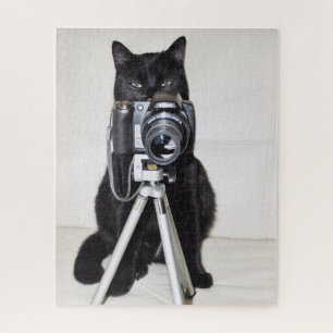 Katze mit der Kamera