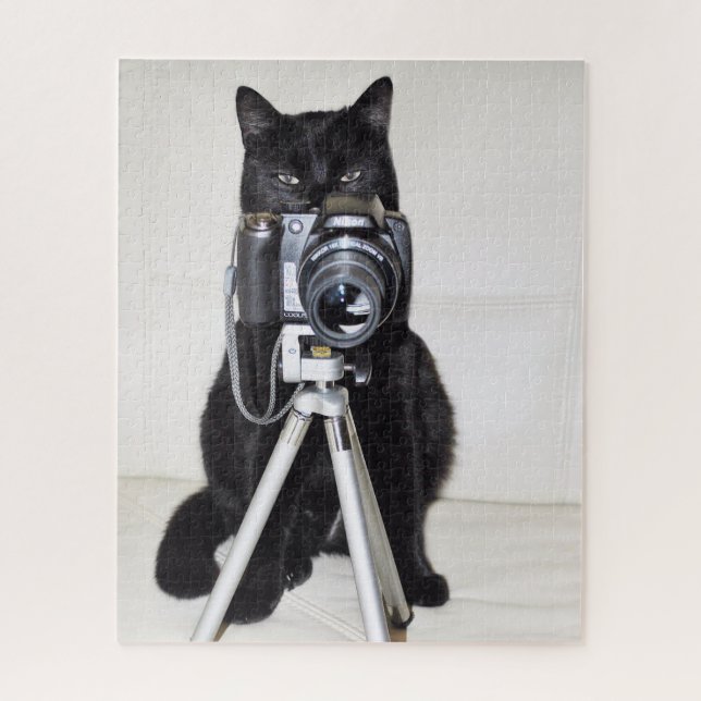 Katze mit der Kamera (Vertikal)