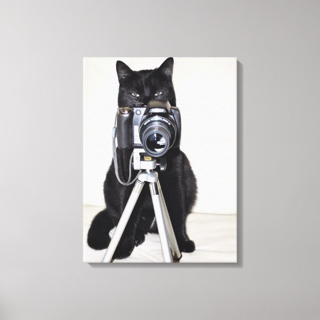 Katze mit der Kamera Leinwanddruck (Vorderseite)