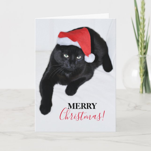 Katze mit der Roten Weihnachtsmannmütze Feiertagskarte (Vorderseite)