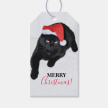 Katze mit der Roten Weihnachtsmannmütze