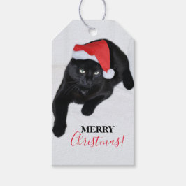 Katze mit der Roten Weihnachtsmannmütze Geschenkanhänger