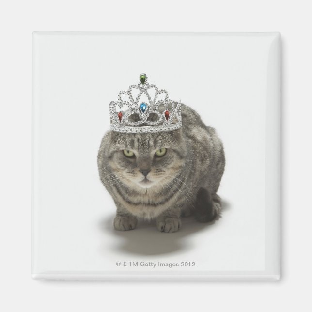 Katze mit einem Tiara Magnet (Vorne)