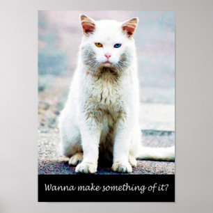 Katze mit einem Verhaltensplakat Poster