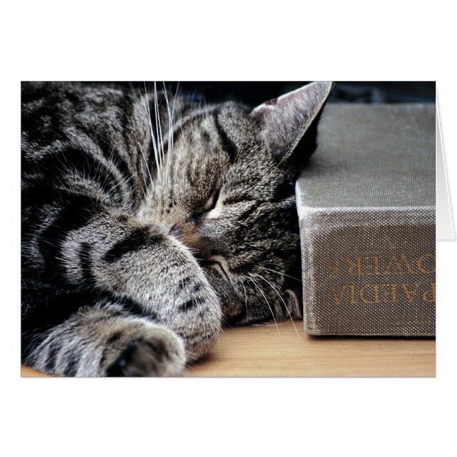 Katze mit einer guten Buchkarte aufgerissen (Vorderseite (Horizontal))