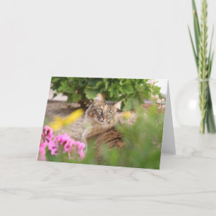 Katze mit Geranium Karte