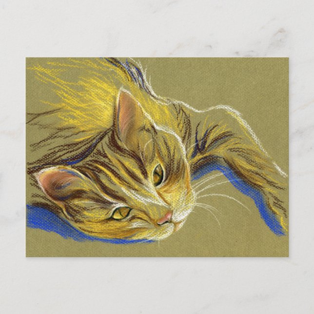 Katze mit Goldaugen - Pastell Zeichnend Postkarte (Vorderseite)