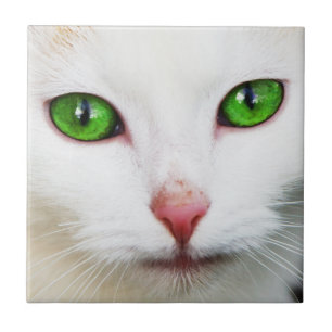 Katze mit grünen Augen-Tile Fliese