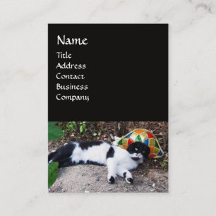 KATZE MIT HARLEQUIN HAT- UND MASQUERADE-PARTY VISITENKARTE