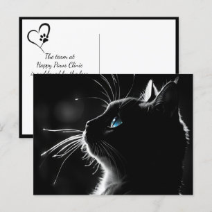 Katze mit Hintergrundbeleuchtung Trauer um Haustie Postkarte