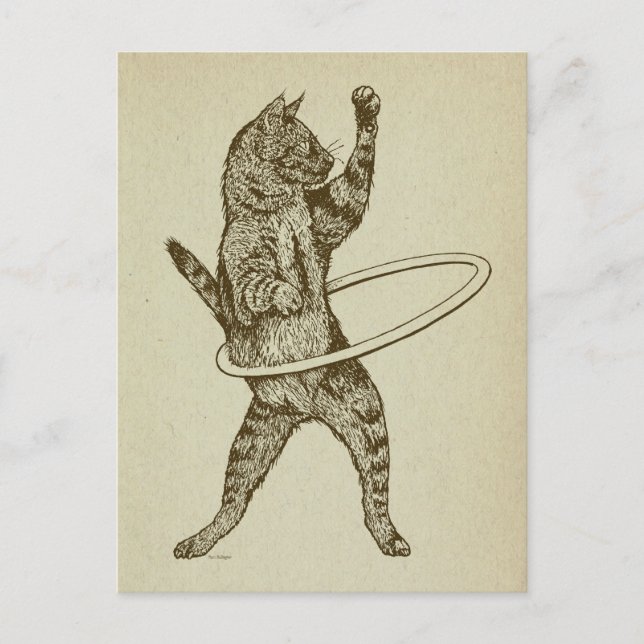 Katze mit Hula Hoop Postkarte (Vorderseite)