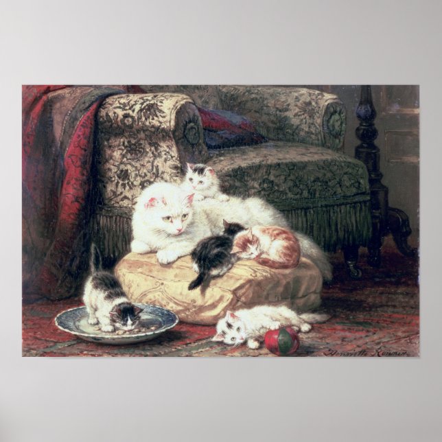 Katze mit ihren Kätzchen auf einem Kissen Poster (Vorne)