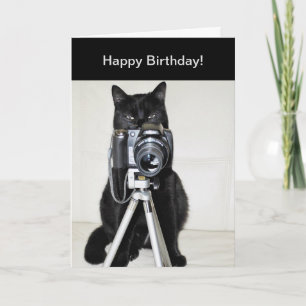 Katze mit Kamera Karte