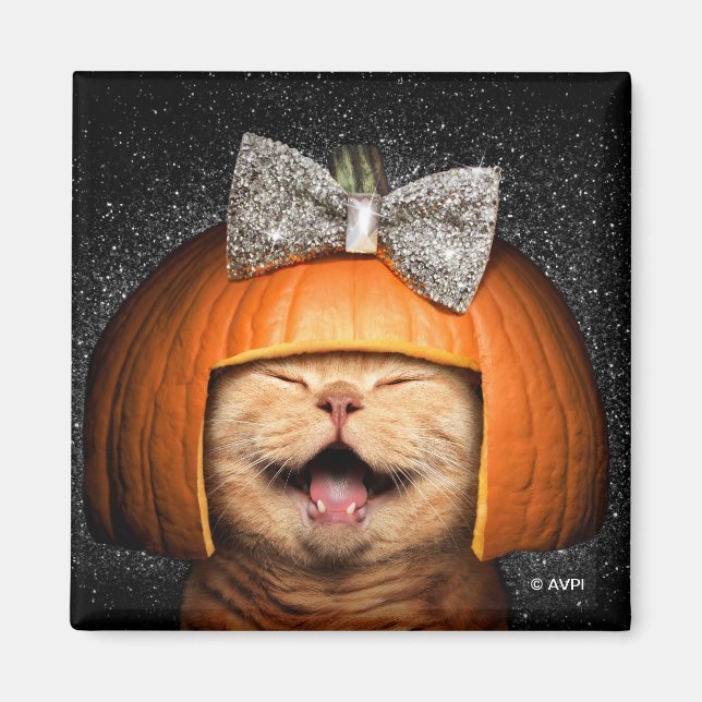 Katze mit Kürbishaar Magnet (Vorne)
