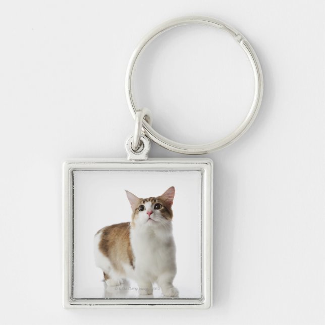 Katze mit kurzen Füßen Schlüsselanhänger (Vorne)